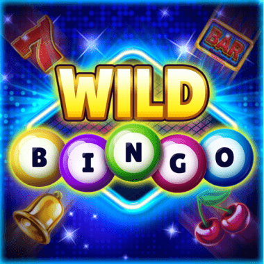 https://cdn.softswiss.net/i/s3/platipus/wildbingo.png